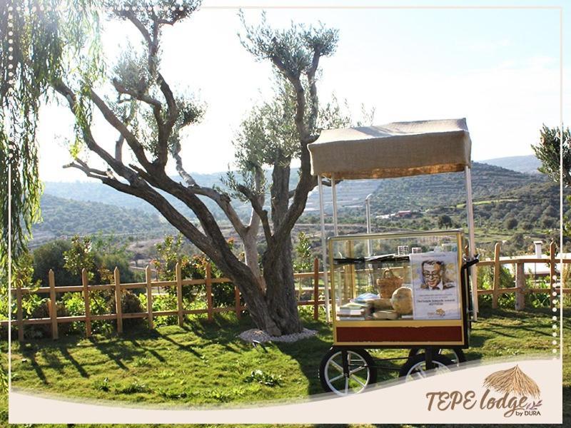 Tepe Lodge Чешме Екстер'єр фото
