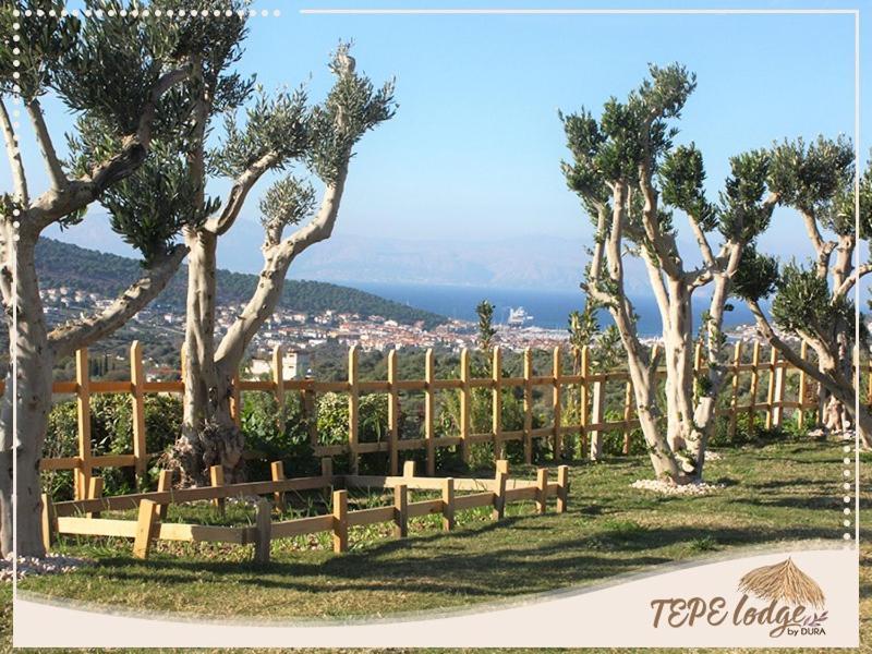 Tepe Lodge Чешме Екстер'єр фото
